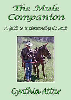 The Mule Companion: A Guide to Understanding the Mule