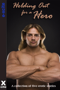 Holding Out For A Hero