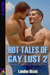 Hot Tales of Gay Lust Two