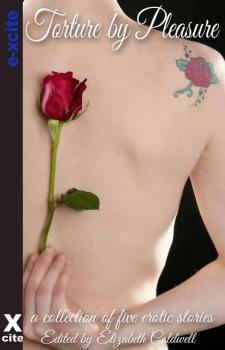 Torture by Pleasure - An Xcite Books collection of five erotic stories