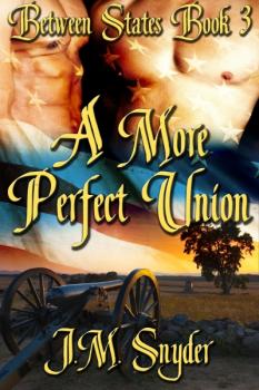 Between States Book 3: A More Perfect Union (MM)