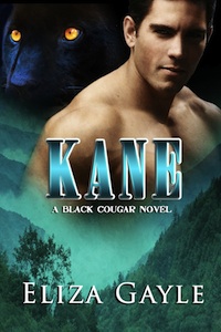 KANE a paranormal romance / shapeshifter fantasy  Black Cougar series #2