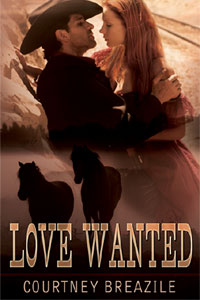 Love Wanted