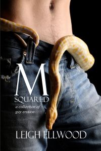 M-Squared: a Collection of Gay Erotica by Leigh Ellwood