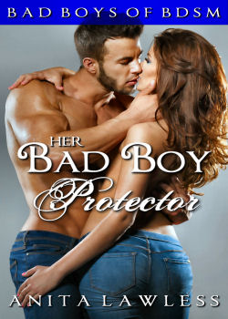 Her Bad Boy Protector: Bad Boys of BDSM Vol. 5 (MF)