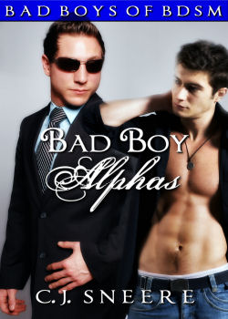 Bad Boy Alphas: Bad Boys of BDSM Vol. 4 (MM / MMM)