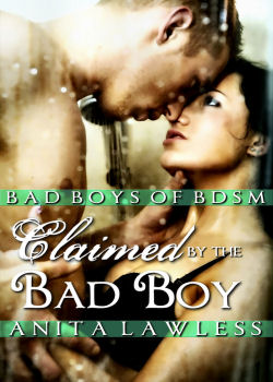 Claimed by the Bad Boy: Bad Boys of BDSM Vol. 2 (MF / MFM / MFF)