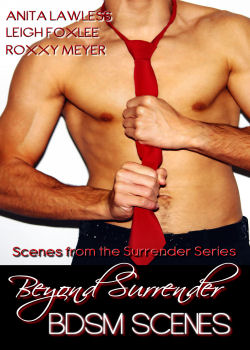 Beyond Surrender: BDSM Scenes from the Surrender Series (MF/MMF)