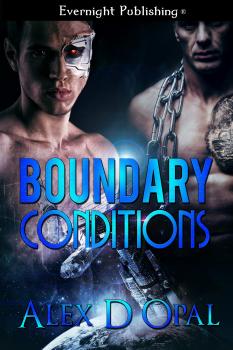 Boundary Conditions (MM)