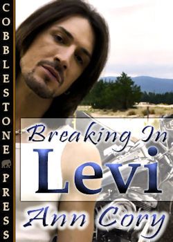 Breaking in Levi