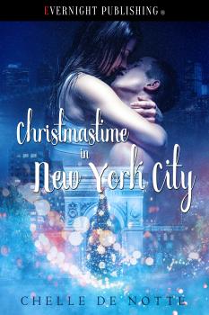 Christmastime in New York City (MF)