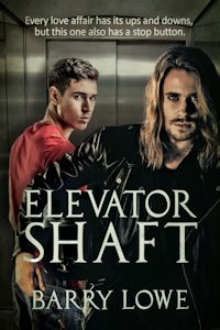 Elevator Shaft: MM Romance
