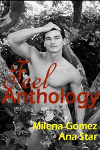Feel Anthology