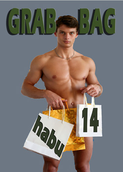 Grab Bag 14: A Gay Erotica Anthology