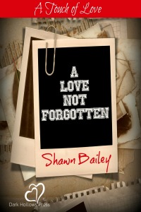 A Love Not Forgotten (MM)