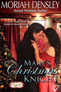 Mary's Christmas Knight