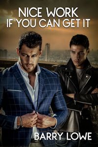 Nice Work If You Can Get It:  M/M Romance