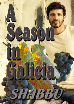 A Season in Galicia: A story of gay love and romance in northern Spain (MM)