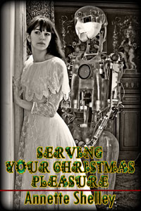 Serving Your Christmas Pleasure