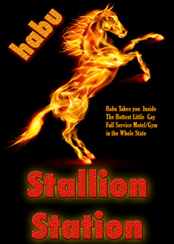 Stallion Station (MM)