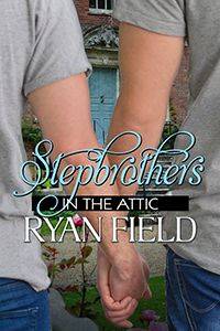Stepbrothers in the Attic