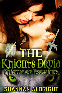 The Knight's Druid