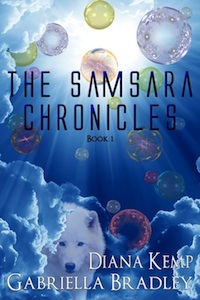 The Samsara Chronicles 1