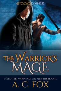 The Warrior's Mage (MM)