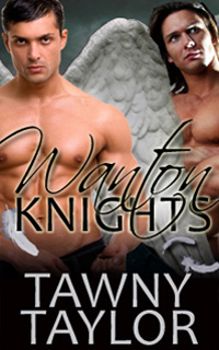 Wanton Knights An Erotic Menage Shapeshifter Novella