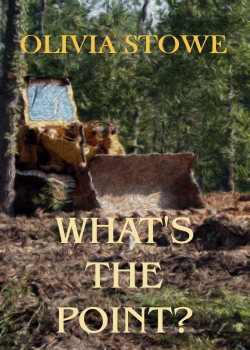 What's The Point ( Charlotte Diamond Mysteries 5)